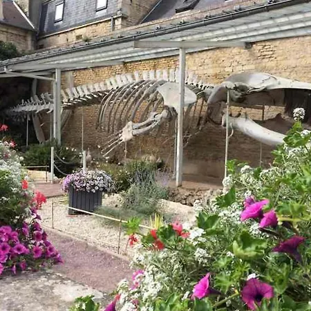 Appartamento Chez Fabienne Luc-sur-Mer